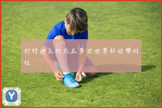 科特迪瓦对厄瓜多尔世界杯边锋对位