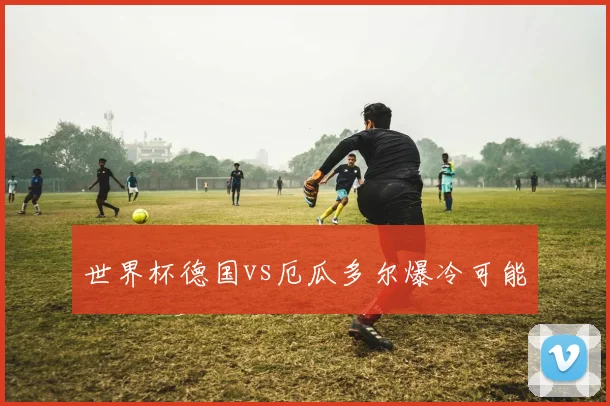 世界杯德国vs厄瓜多尔爆冷可能