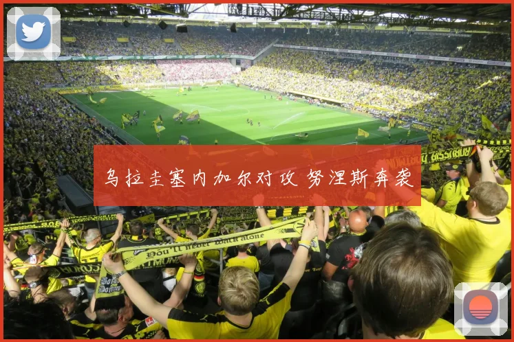 乌拉圭塞内加尔对攻 努涅斯奔袭
